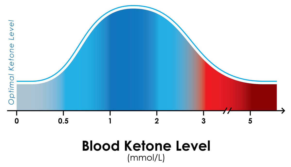 Keto Levels Understanding Your Ketone Readings | KetoBM Shop